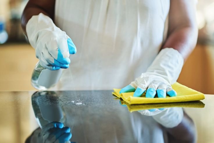 Hygienic Sanitization Service